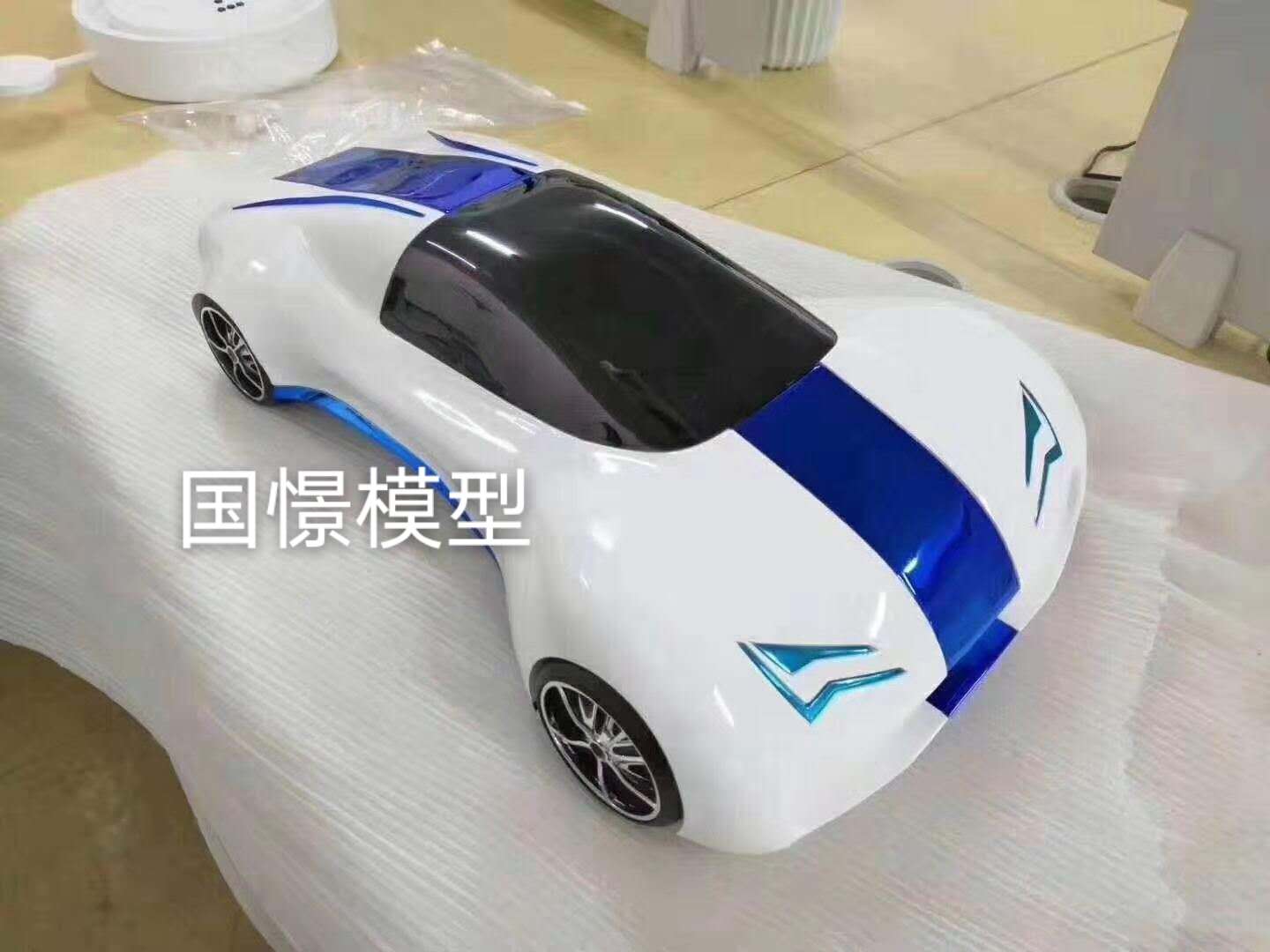 云阳县车辆模型
